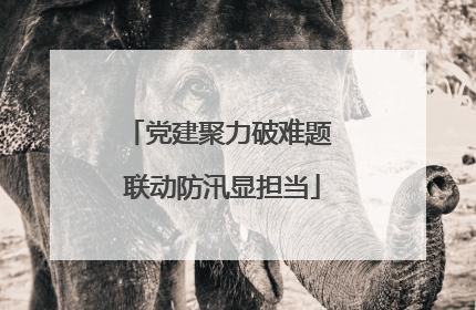 党建聚力破难题 联动防汛显担当