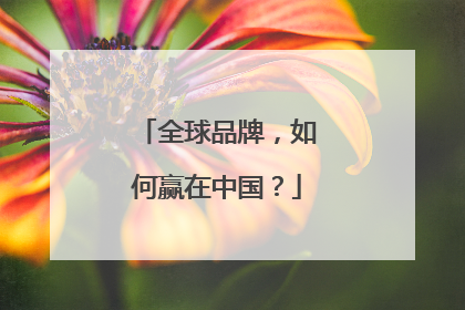 全球品牌，如何赢在中国？