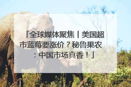全球媒体聚焦丨美国超市蓝莓要涨价？秘鲁果农：中国市场真香！