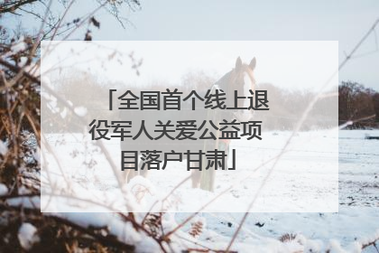 全国首个线上退役军人关爱公益项目落户甘肃