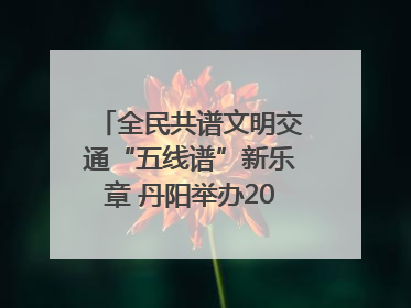全民共谱文明交通“五线谱”新乐章 丹阳举办2025年“文明交通 同心同行”主题宣传活动