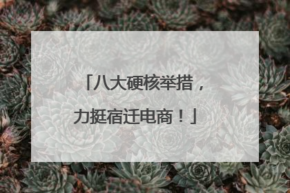 八大硬核举措，力挺宿迁电商！