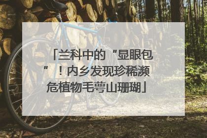 兰科中的“显眼包”！内乡发现珍稀濒危植物毛萼山珊瑚