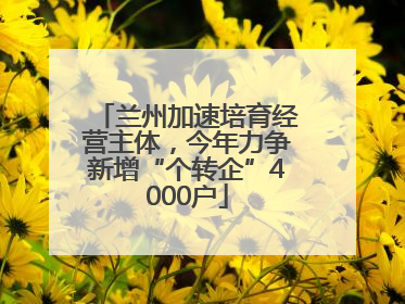 兰州加速培育经营主体，今年力争新增“个转企”4000户