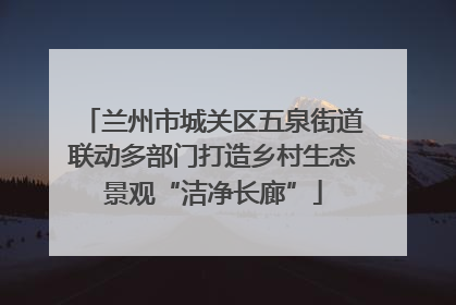 兰州市城关区五泉街道联动多部门打造乡村生态景观“洁净长廊”