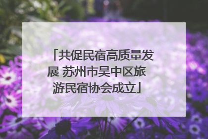 共促民宿高质量发展 苏州市吴中区旅游民宿协会成立
