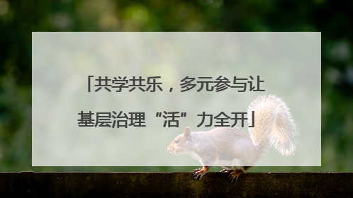 共学共乐，多元参与让基层治理“活”力全开