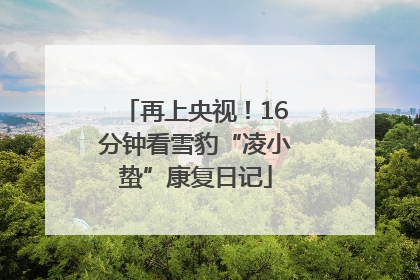 再上央视！16分钟看雪豹“凌小蛰”康复日记