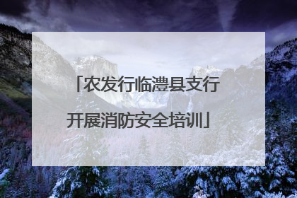 农发行临澧县支行开展消防安全培训