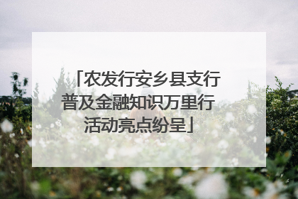 农发行安乡县支行普及金融知识万里行活动亮点纷呈