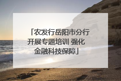 农发行岳阳市分行开展专题培训 强化金融科技保障