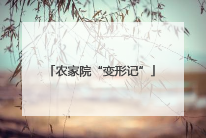 农家院“变形记”