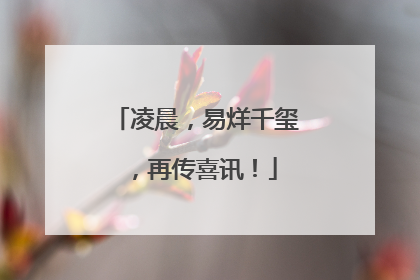 凌晨，易烊千玺，再传喜讯！