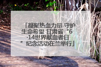 凝聚热血力量 守护生命希望 甘肃省“6 ·14世界献血者日”纪念活动在兰举行