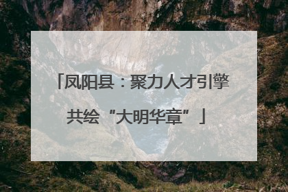 凤阳县：聚力人才引擎 共绘“大明华章”