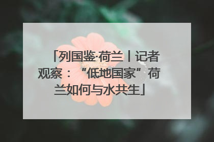 列国鉴·荷兰丨记者观察：“低地国家”荷兰如何与水共生