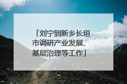 刘宁到新乡长垣市调研产业发展、基层治理等工作