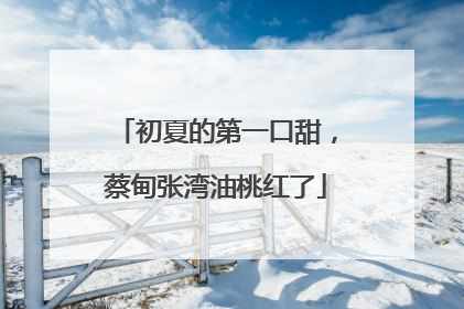 初夏的第一口甜，蔡甸张湾油桃红了