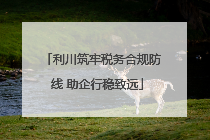 利川筑牢税务合规防线 助企行稳致远