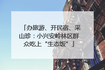 办旅游、开民宿、采山珍：小兴安岭林区群众吃上“生态饭”