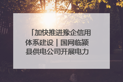 加快推进豫企信用体系建设｜国网临颍县供电公司开展电力行业信用企业现场咨询访谈工作