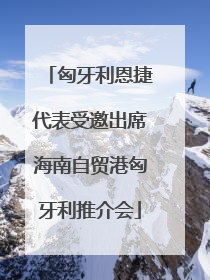 匈牙利恩捷代表受邀出席海南自贸港匈牙利推介会