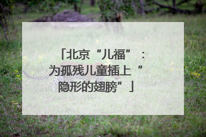 北京“儿福”：为孤残儿童插上“隐形的翅膀”