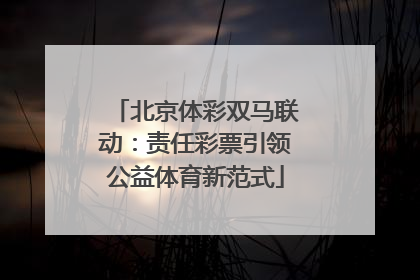 北京体彩双马联动：责任彩票引领公益体育新范式