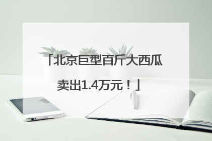北京巨型百斤大西瓜卖出1.4万元！