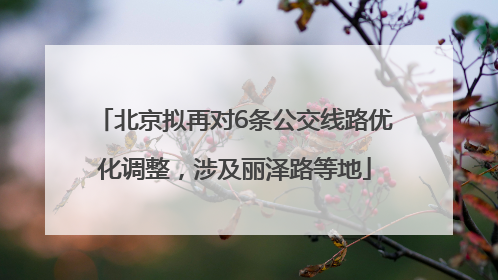 北京拟再对6条公交线路优化调整，涉及丽泽路等地