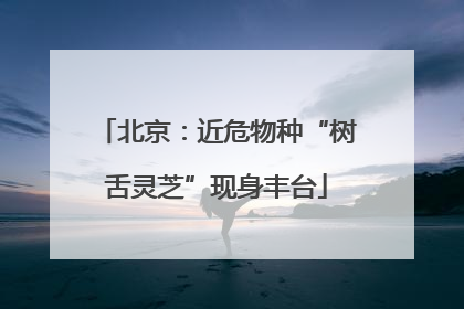 北京：近危物种“树舌灵芝”现身丰台