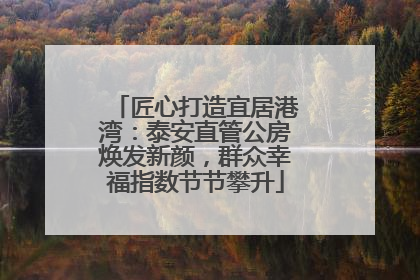 匠心打造宜居港湾：泰安直管公房焕发新颜，群众幸福指数节节攀升