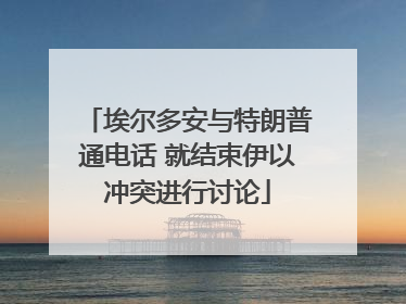 埃尔多安与特朗普通电话 就结束伊以冲突进行讨论