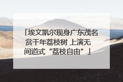 埃文凯尔现身广东茂名 赏千年荔枝树 上演无间道式“荔枝自由”