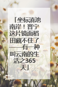 坐标滇池南岸！晋宁这片镜面稻田藏不住了——有一种叫云南的生活之365天