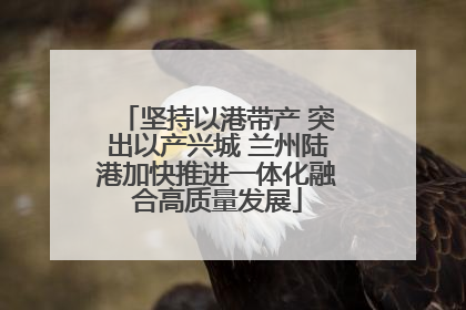 坚持以港带产 突出以产兴城 兰州陆港加快推进一体化融合高质量发展