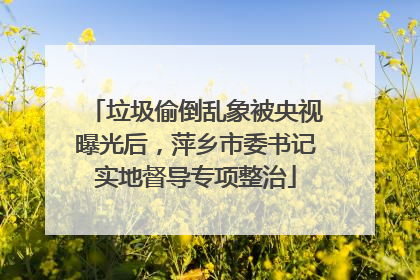 垃圾偷倒乱象被央视曝光后，萍乡市委书记实地督导专项整治