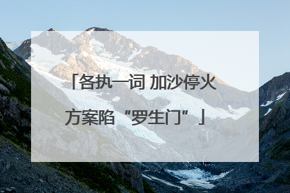 各执一词 加沙停火方案陷“罗生门”