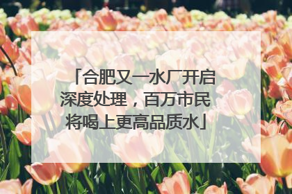 合肥又一水厂开启深度处理，百万市民将喝上更高品质水