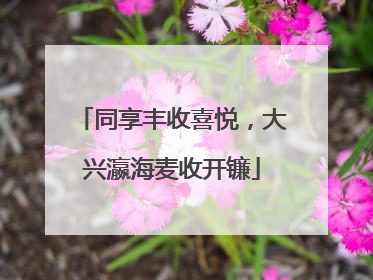 同享丰收喜悦，大兴瀛海麦收开镰
