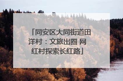 同安区大同街道田洋村：文旅出圈 网红村探索长红路
