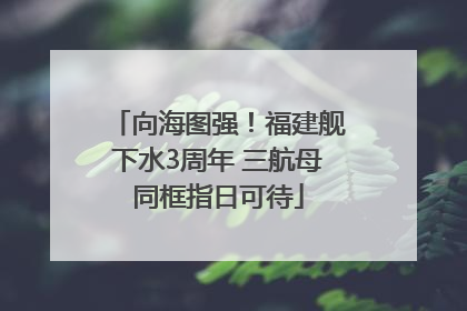 向海图强！福建舰下水3周年 三航母同框指日可待