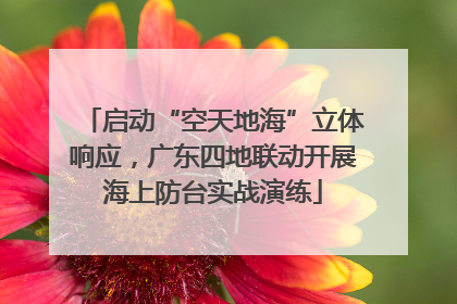 启动“空天地海”立体响应，广东四地联动开展海上防台实战演练
