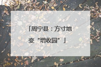 周宁县：方寸地变“增收园”