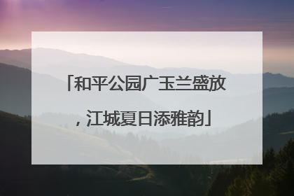 和平公园广玉兰盛放，江城夏日添雅韵