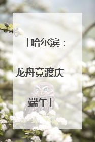 哈尔滨：龙舟竞渡庆端午