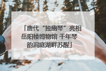 唐代“独幽琴”亮相岳阳楼博物馆 千年琴韵洞庭湖畔苏醒