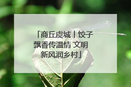 商丘虞城丨饺子飘香传温情 文明新风润乡村