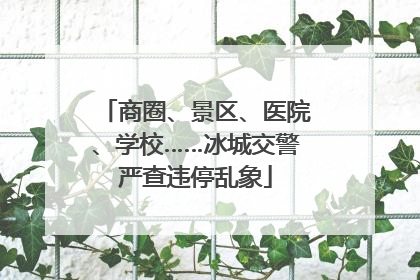 商圈、景区、医院、学校……冰城交警严查违停乱象