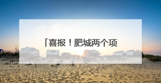 喜报！肥城两个项目入选省级目录